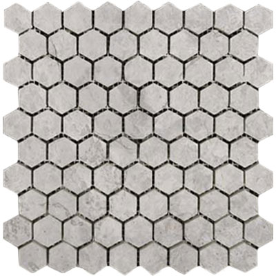 EMSER MARBLE SILVER HEX/12X12
