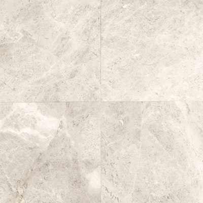 Daltile Limestone 12 x 12 Polished Arctic Gray