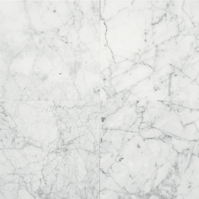 Daltile Marble 12 x 12 Polished Carrara Gioia