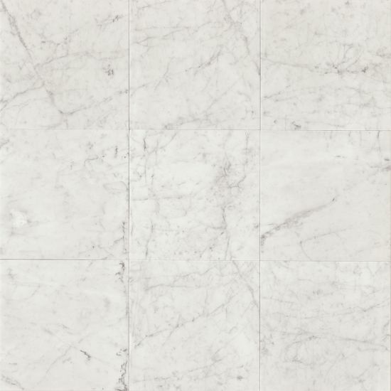 Bedrosians White Carrara Series 12" x 12" Tile in White Carrara
