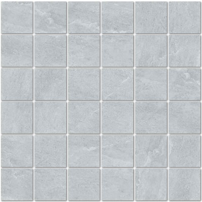 Shaw Floors Arena Mosaic Silver