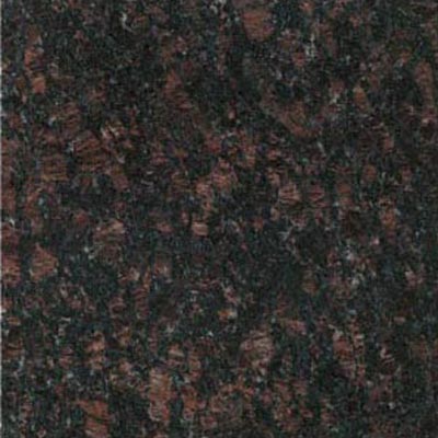 Daltile Granite 12 x 24 Polished Tan Brown