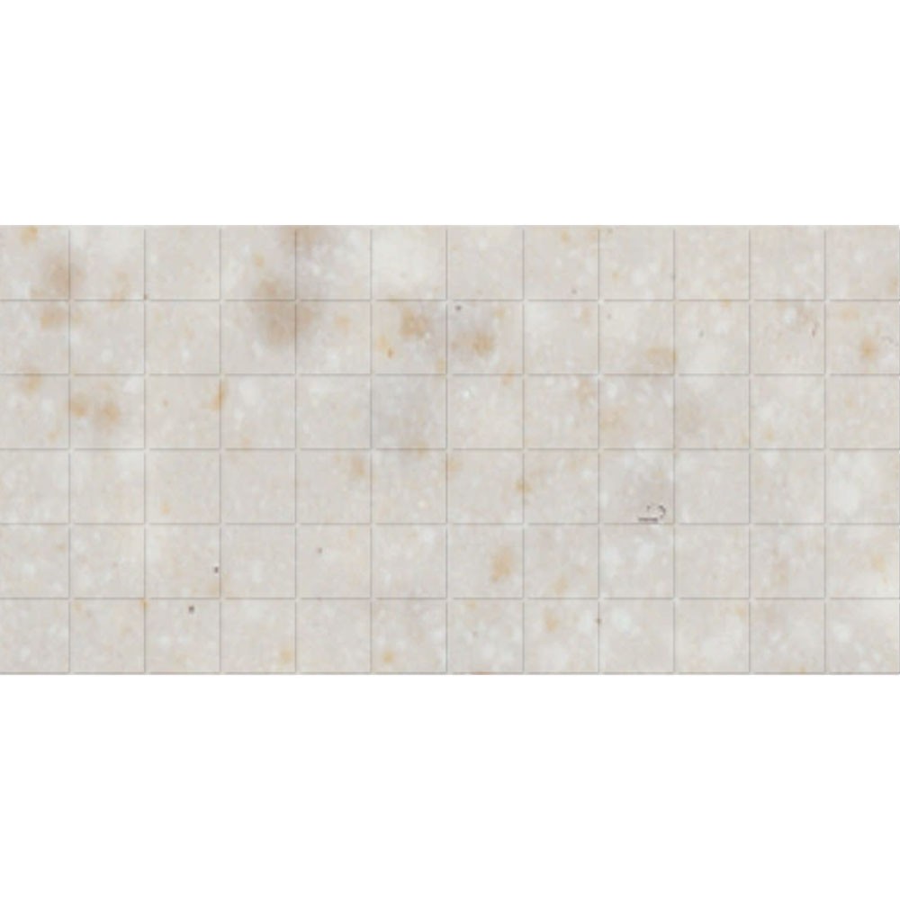 American Olean Unglazed ColorBody Mosaic 2 x 2 Uplifted