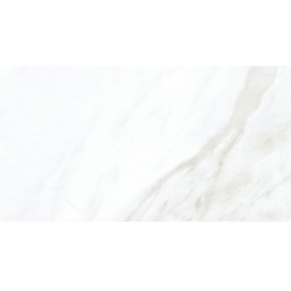 Eleganza Tiles Carrara Extra Moderne 24 x 48 Matte White