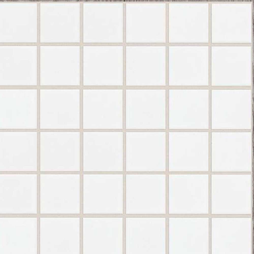 Shaw Floors Baker Street Mosaic White
