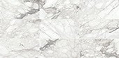 Marble Venetian Calacatta Rectangle 12X24 Polished