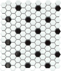Emser INFLUENCE White/Black GL 1"Hexagon mosaic blend 10x12 tile